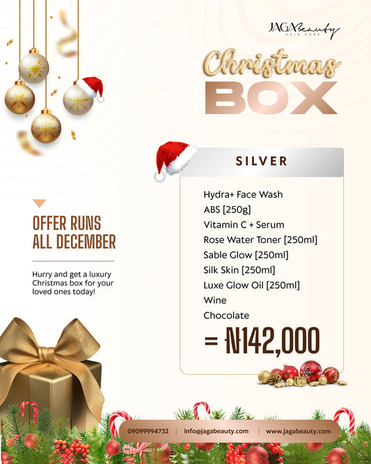 Christmas Box - Silver